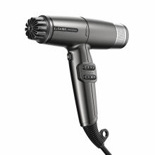 (Silver) iQ Lite Max Hairdryer